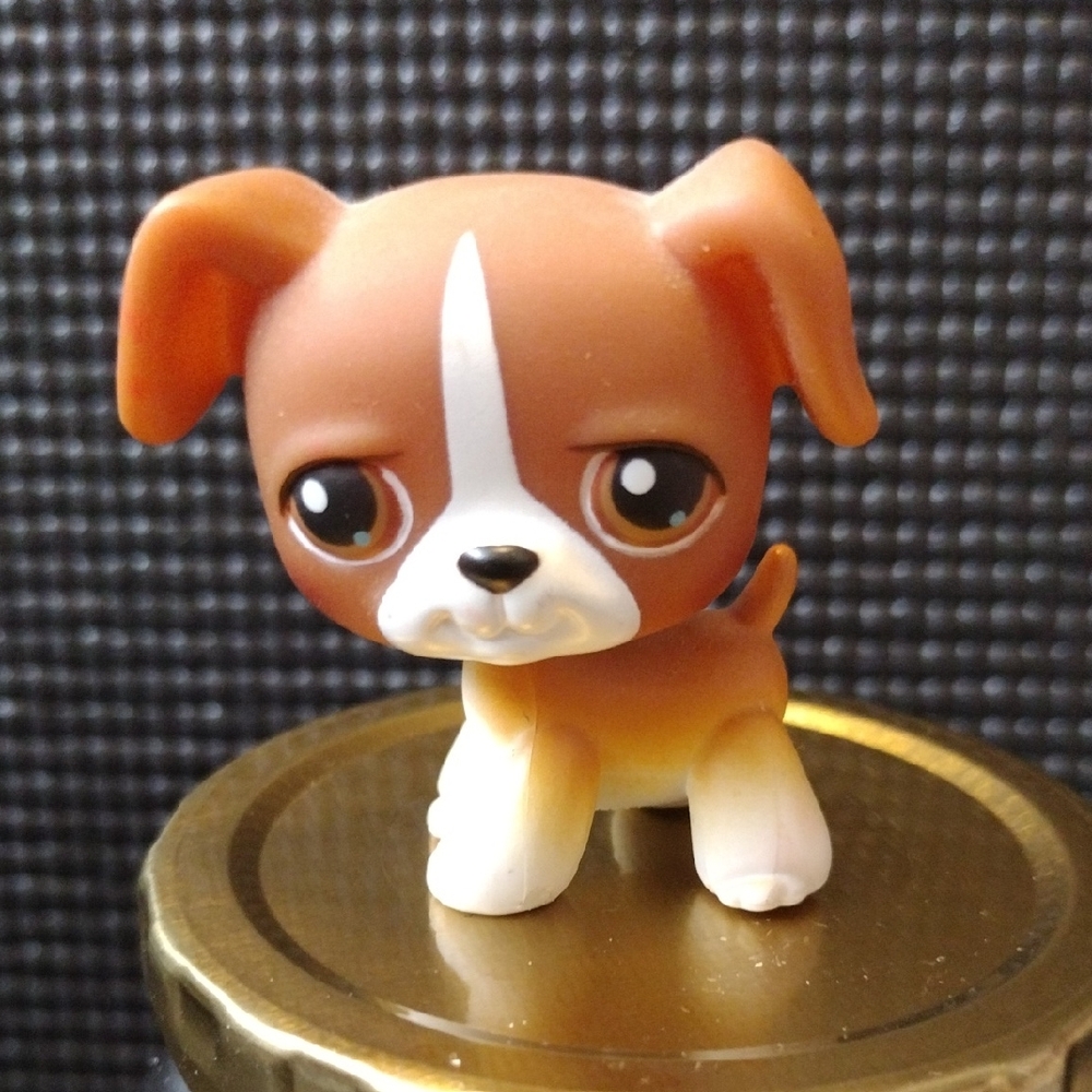 LPS - Boxer Dog